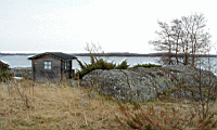 P5030026.jpg